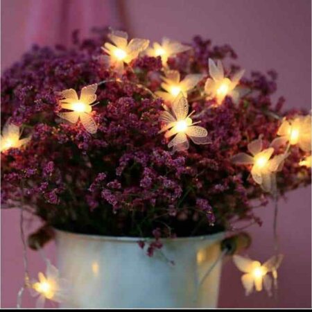 10 Led Butterfly Fairy Lights 2